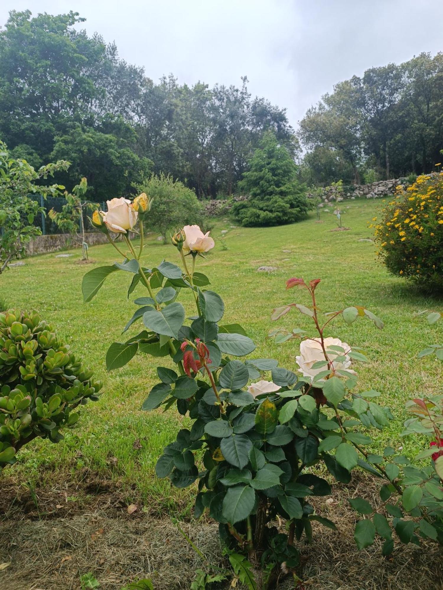 הוילה Camijanes Casa Coba מראה חיצוני תמונה